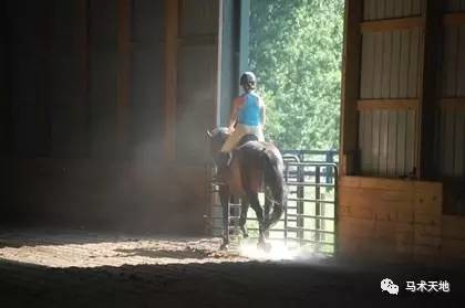 【研究】对马和骑手造成伤害的室内场灰尘